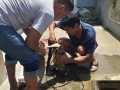 Tank-Cleaning-29-07-2019-2