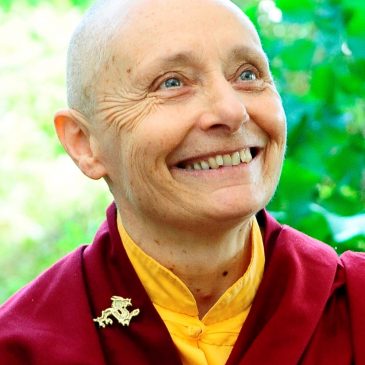 Rencontre avec Jetsunma Tenzin Palmo