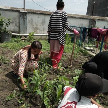 Jardinage avec Sarina le 21 mai 2021